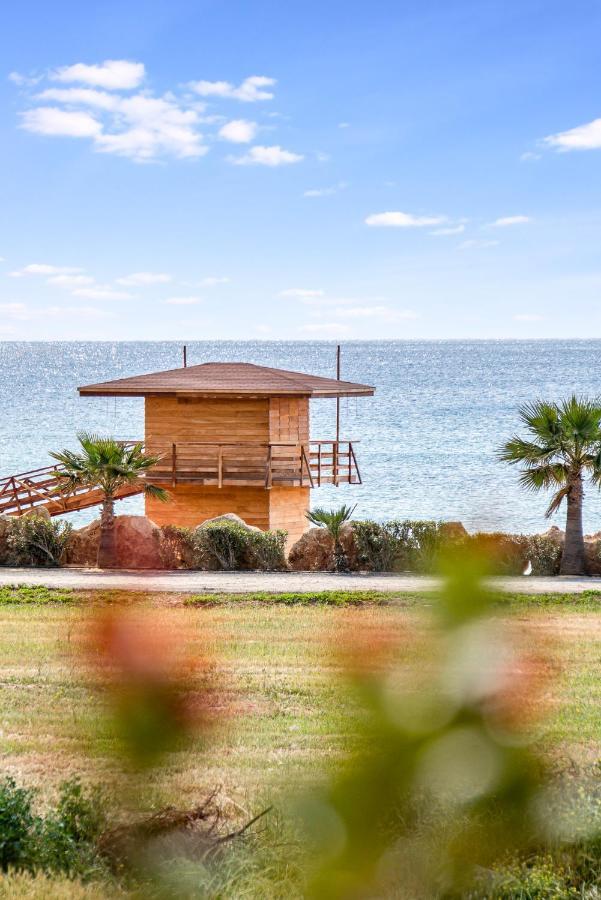 Villa Rosedale By Ezoria Villas Ayia Napa Eksteriør billede